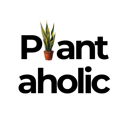 Plantaholic