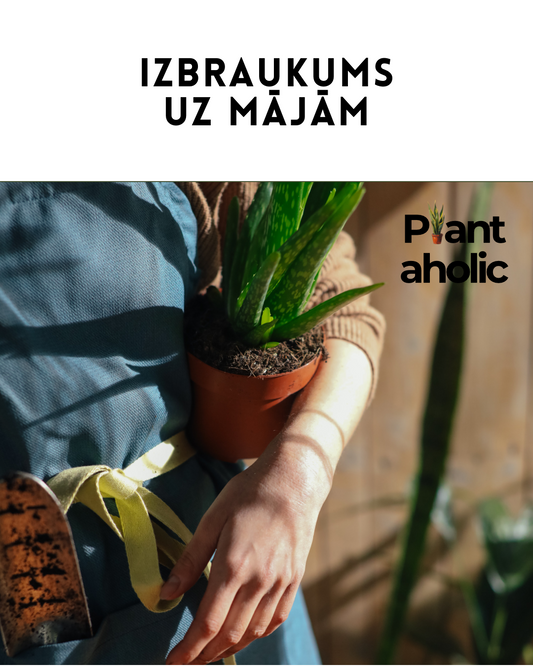 Izbraukums uz mājām