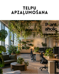 Telpu apzaļumošana