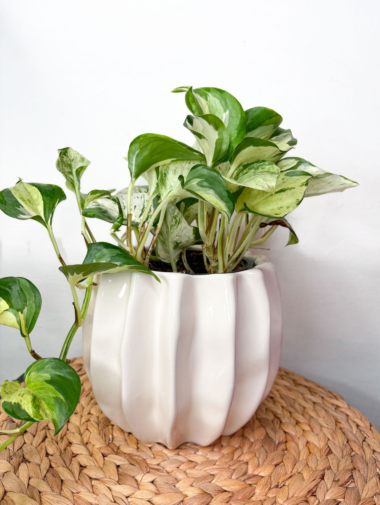 Dekoratīvais puķu pods Sculpt